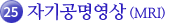 26. 자기공명영상(MRI)